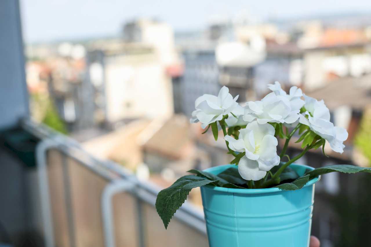 Sličica 17 - Apartman Dolce Vita